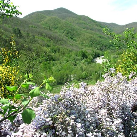 Willa Agriturismo Il Giglio E La Rosa Montale  Zewnętrze zdjęcie