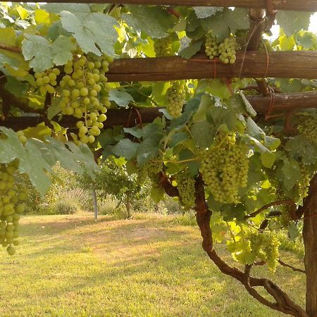 Willa Agriturismo Il Giglio E La Rosa Montale  Zewnętrze zdjęcie