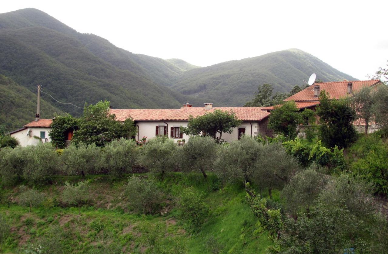 Willa Agriturismo Il Giglio E La Rosa Montale  Pokój zdjęcie