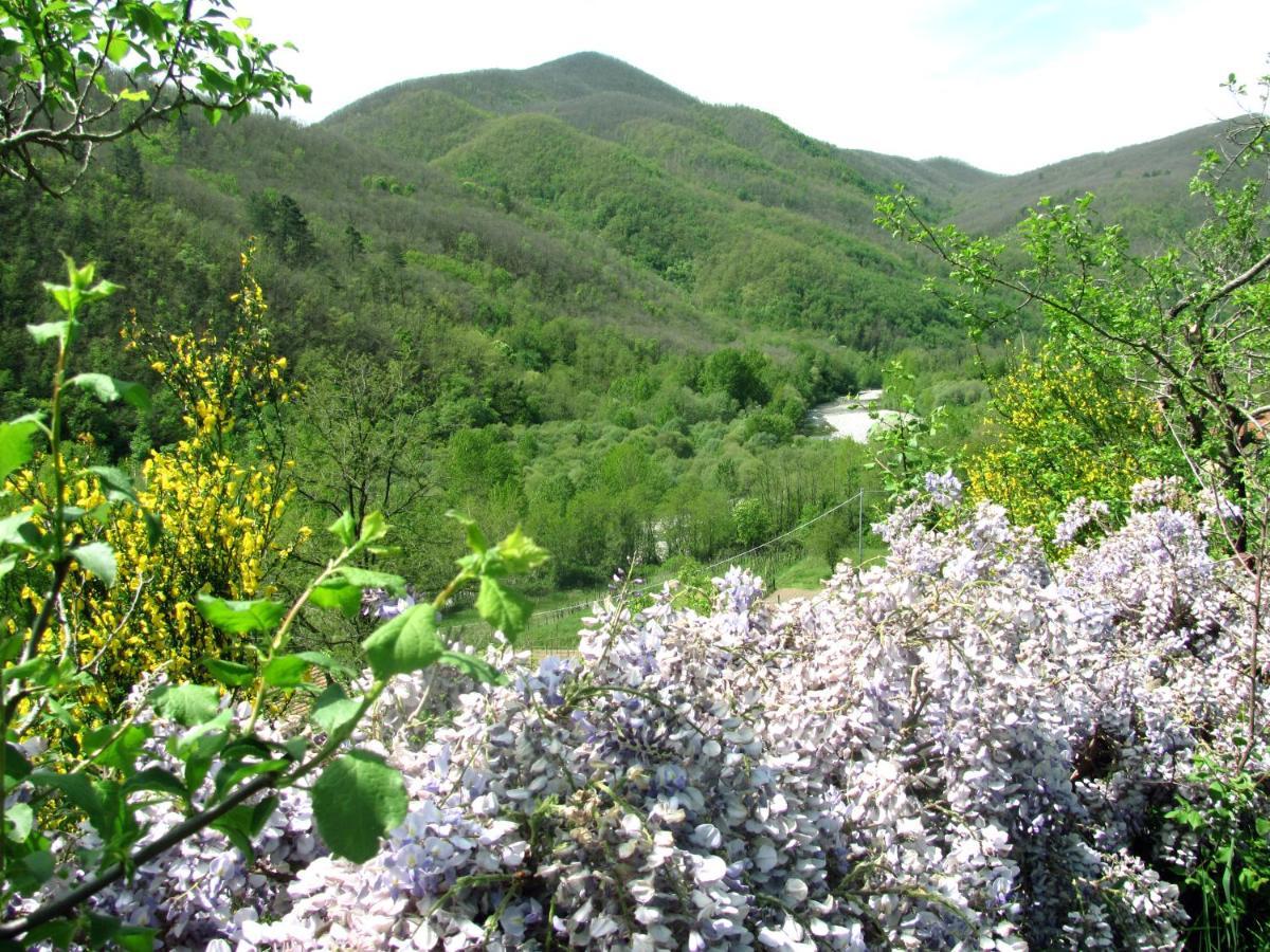 Willa Agriturismo Il Giglio E La Rosa Montale  Zewnętrze zdjęcie